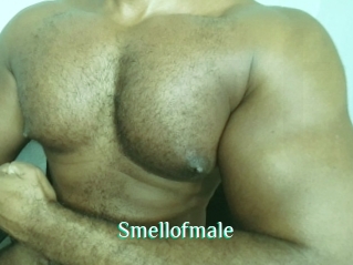 Smellofmale