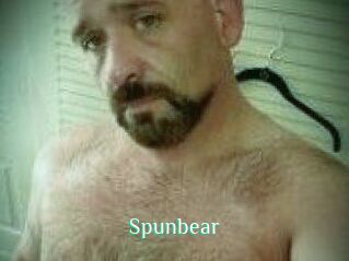 Spunbear