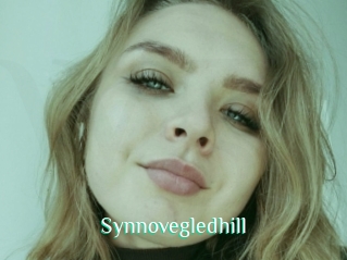 Synnovegledhill