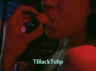 TBlackTulip