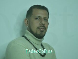 TadeoCollins
