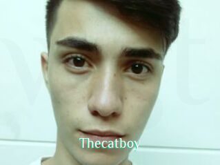 Thecatboy