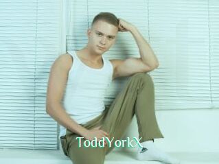 ToddYorkX