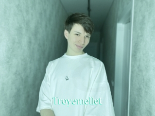 Troyemellet