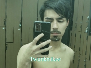 Twunkmikee
