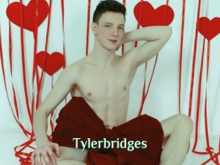 Tylerbridges