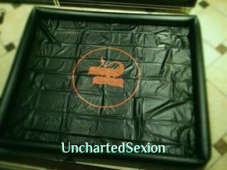 UnchartedSexion
