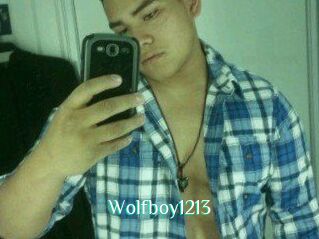 Wolfboy1213