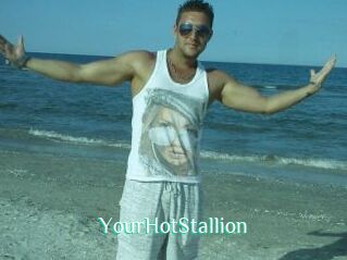YourHotStallion