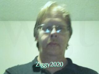 Ziggy2020